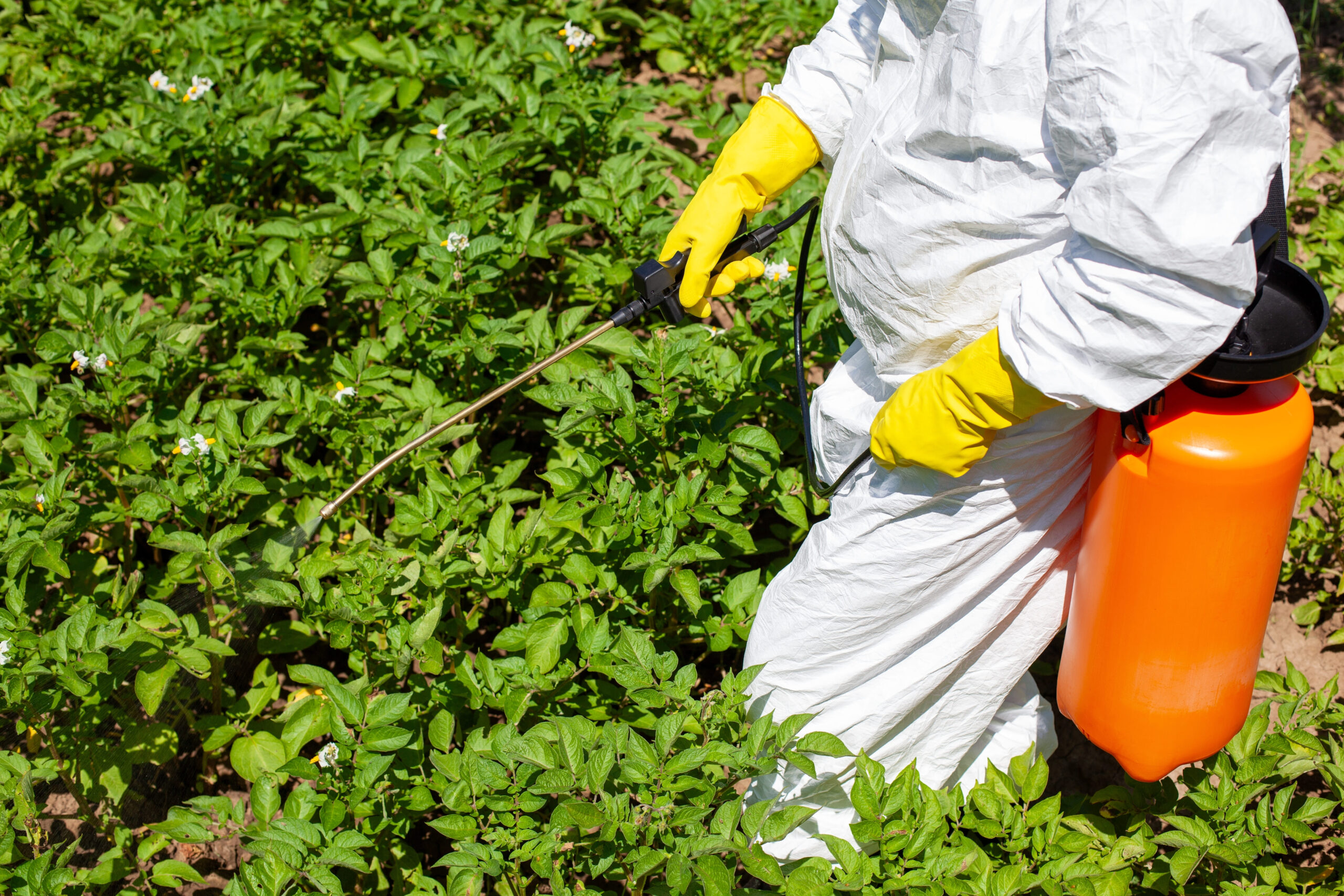 Glyphosate